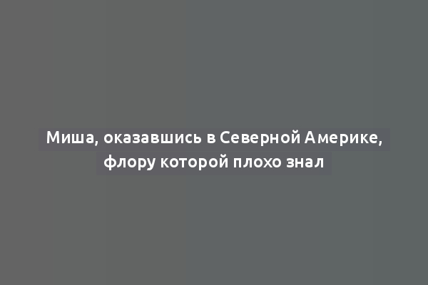 Миша, оказавшись в Северной Америке, флору которой плохо знал