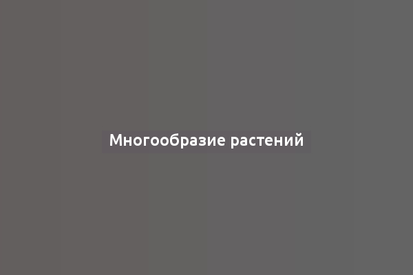 Многообразие растений