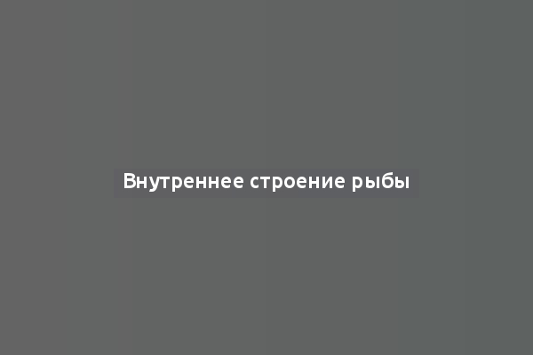 Внутреннее строение рыбы