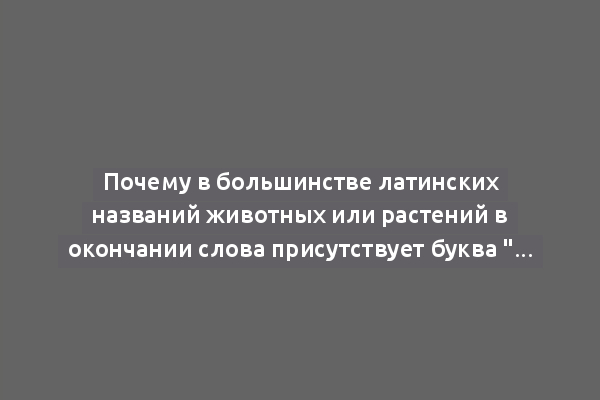 Почему в большинстве латинских названий животных или растений в окончании слова присутствует буква "l"?