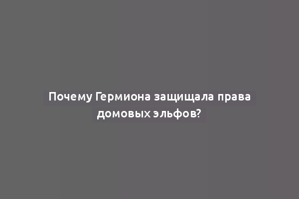 Почему Гермиона защищала права домовых эльфов?