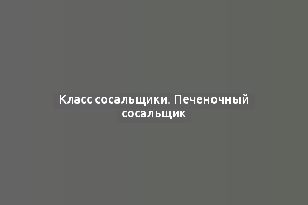 Класс сосальщики. Печеночный сосальщик