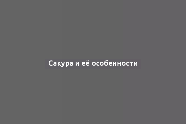 Сакура и её особенности