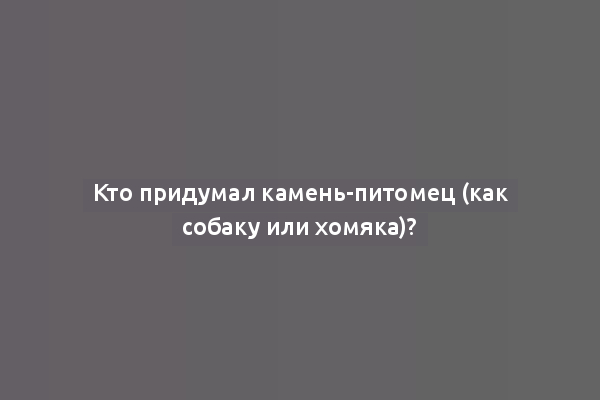 Кто придумал камень-питомец (как собаку или хомяка)?