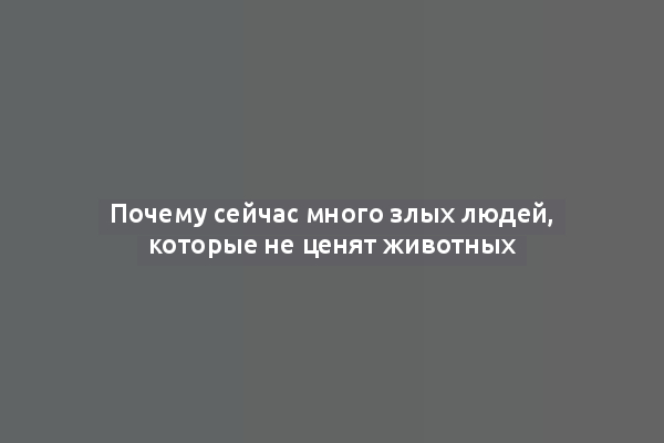 Почему сейчас много злых людей, которые не ценят животных