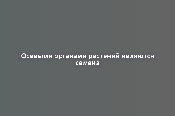 Осевыми органами растений являются семена