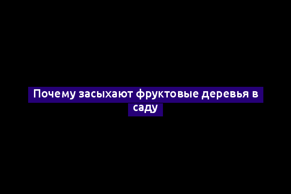 Почему засыхают фруктовые деревья в саду
