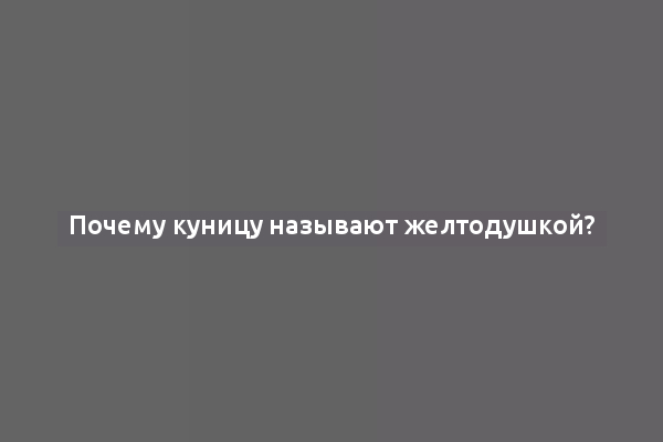 Почему куницу называют желтодушкой?