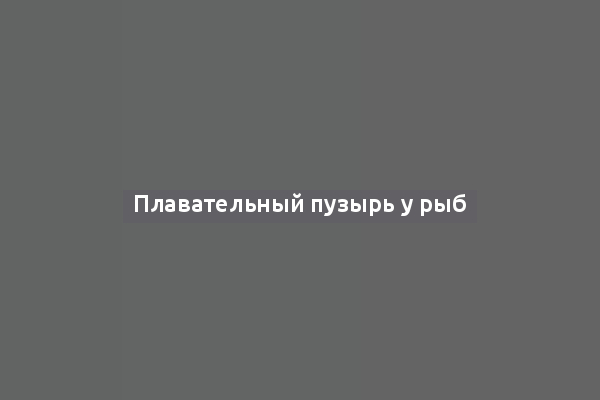 Плавательный пузырь у рыб