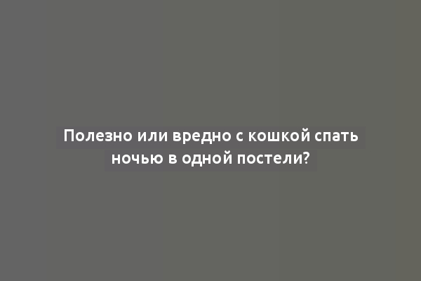 Полезно или вредно с кошкой спать ночью в одной постели?