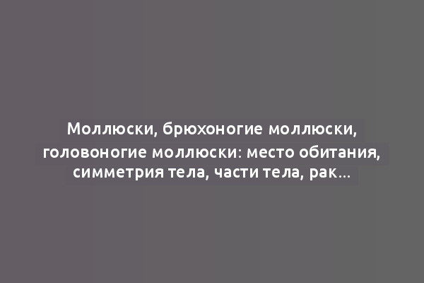 Моллюски, брюхоногие моллюски, головоногие моллюски: место обитания, симметрия тела, части тела, раковина, нога, представители, значение в природе и жизни человека