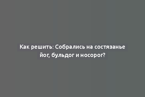 Как решить: Собрались на состязанье йог, бульдог и носорог?