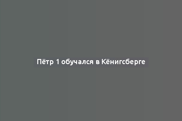 Пётр 1 обучался в Кёнигсберге