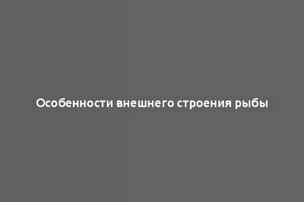 Особенности внешнего строения рыбы