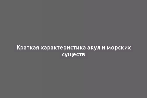 Краткая характеристика акул и морских существ